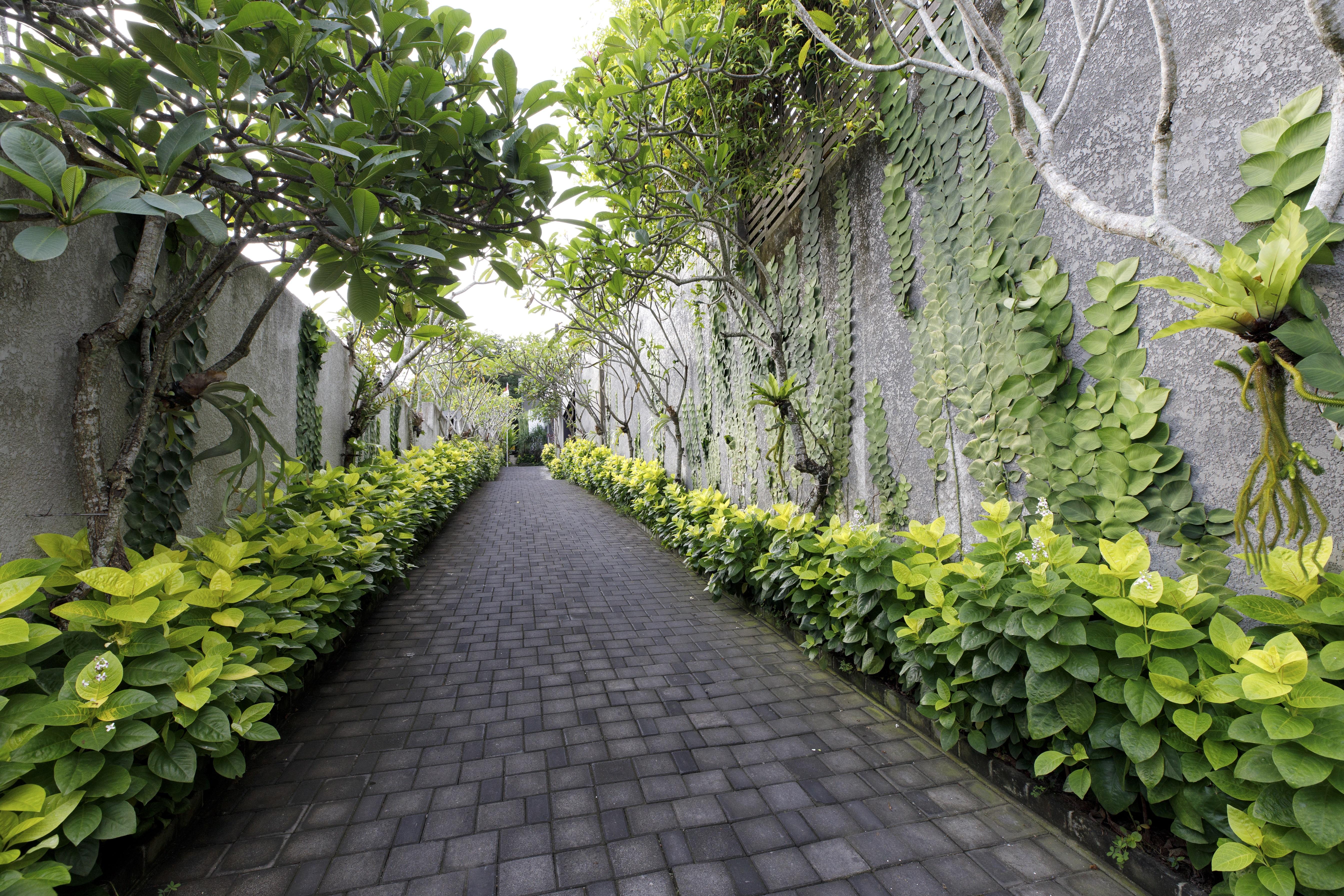 Hideaway Villas Bali Uluwatu By Kanaan Hospitality מראה חיצוני תמונה